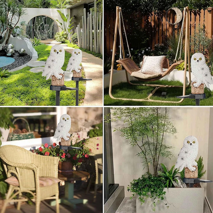 Solar Garden Owl Lights (2-Pack)